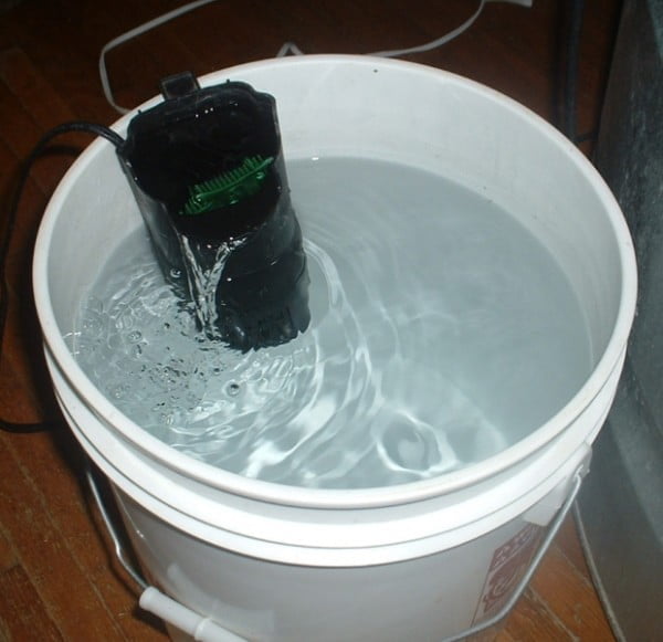 Nitrates in tap water goldfish emergency